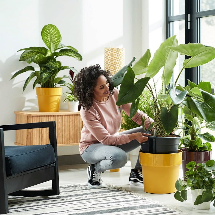elho Planters for Your Home