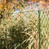 Zäune & Gartengitter für deine grüne Oase