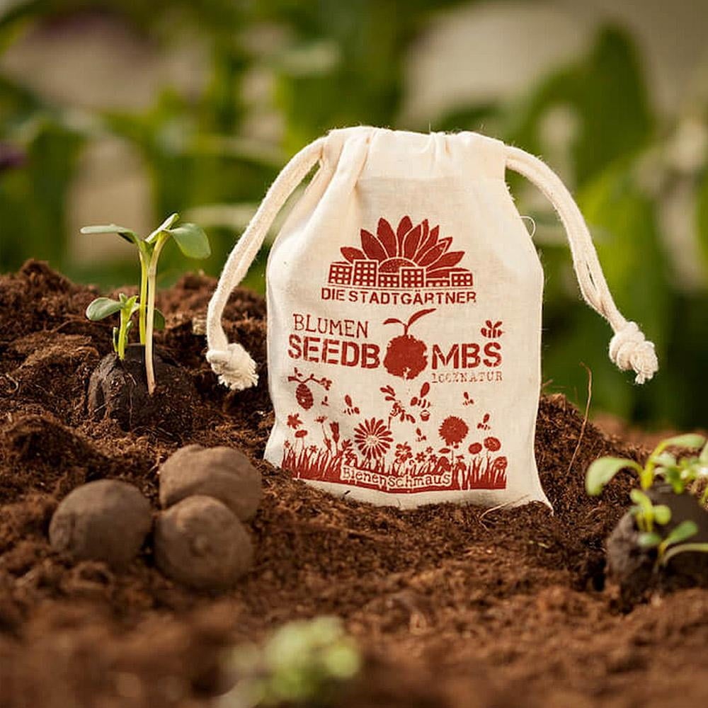 Bombes de Semences pour herbes aromatiques