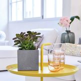 Tabletop Flower Pots & Planters for Indoors by Lechuza