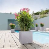 Planters for Outdoor Use by Lechuza