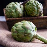 Vegetable Seedlings for Planting