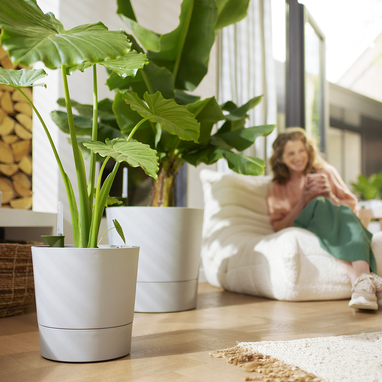 Macetas y jardineras con un 10% de descuento