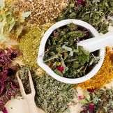 Medicinal Herbs to Plant at Home