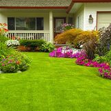 Lawn Fertiliser Products