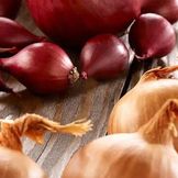 Onions & Garlic for Autumn Planting