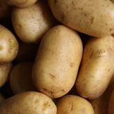 Pommes de terre et accessoires pour la culture des pommes de terre