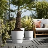 Outdoor Planters by elho