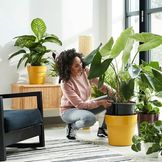 Elho plantenbakken voor jouw woonruimte