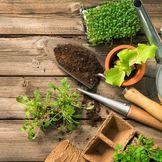 Soil for Growing Herbs in Your Garden
