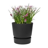 Flowerpots for your Garden