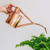 Arrosoirs pour vos plantes d'intérieur
