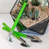 Accessories & Tools for Indoor Plants