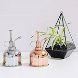 Nebulizzatori per le tue piante d'appartamento