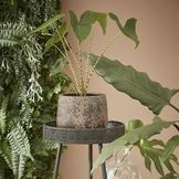 Stoly a police na rastliny pre vašu interiérovú džungľu