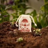 Bombas de semillas sostenibles para tu jardín