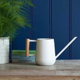 Carefully Selected Gifts for Indoor Gardeners