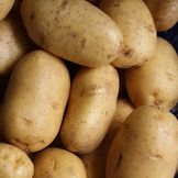 Sättpotatis för hemodlad potatis