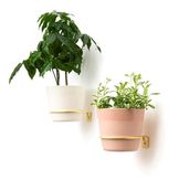 Wall Brackets or Hanging Baskets for Flowerpots