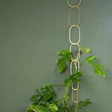 Climbing Aids & Plant Supports for Indoor Plants