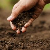 Additifs et fertilisants pour amender le sol du jardin 