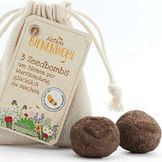 Seed Bombs for Flowers for Beneficial Insects
