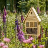 Homes for Beneficial Insects