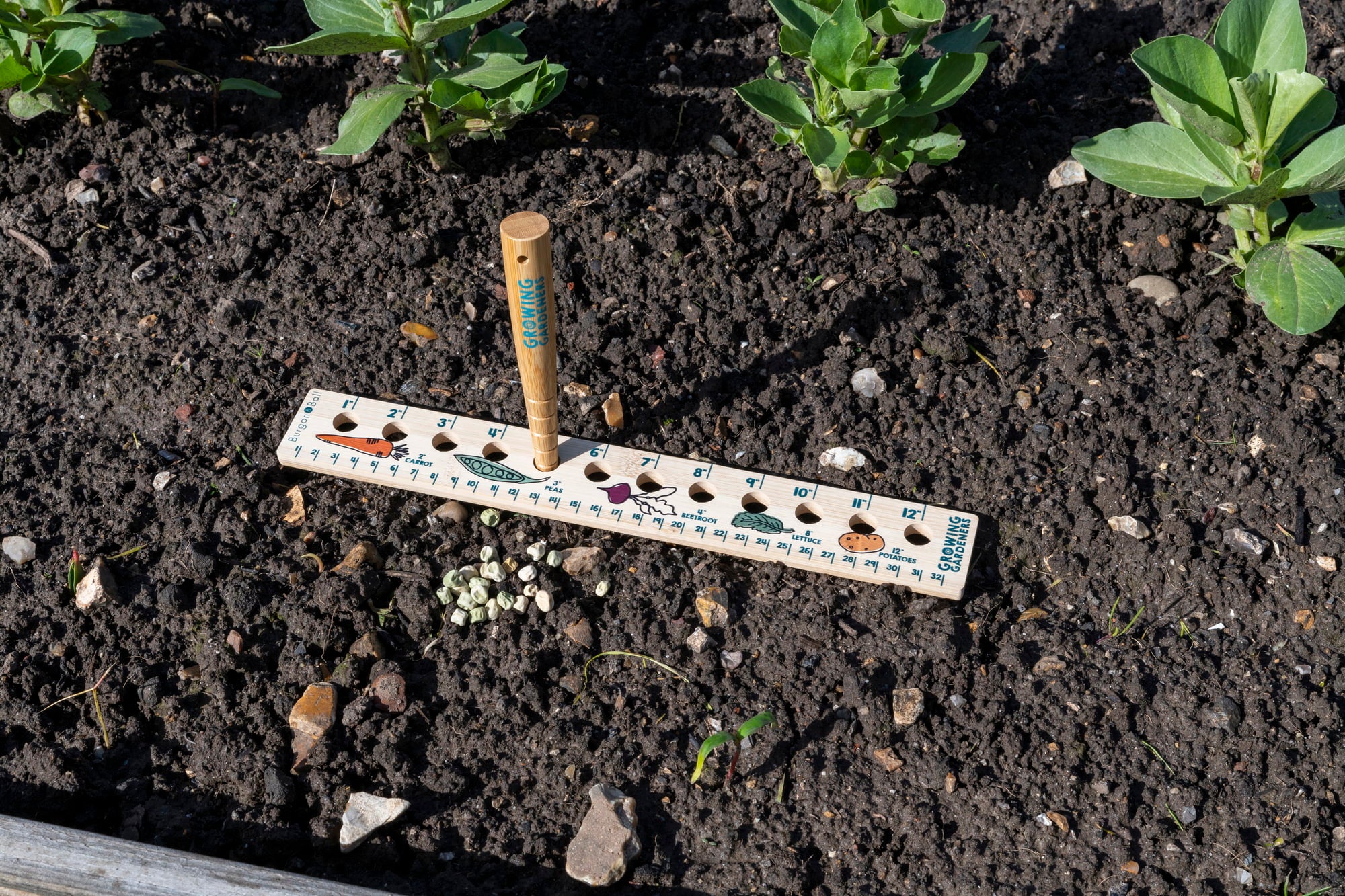 Burgon & Ball Seed Ruler and Dibbet - 1 set.