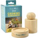 Burgon & Ball Make Your Own Seedling Paper Pots - 1 item