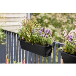 elho Noa L Balcony Box - Living black