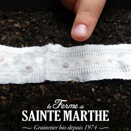 La Ferme de Sainte Marthe Morot 