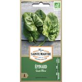 La Ferme de Sainte Marthe Spinach "Géant d'Hiver"