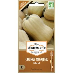 La Ferme de Sainte Marthe Muškatna buča “Musquée Butternut”