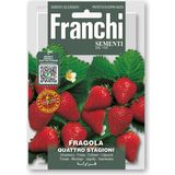 Franchi Sementi Erdbeeeren "Quattro Stagioni"