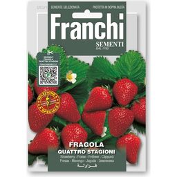 Franchi Sementi Erdbeeeren "Quattro Stagioni"