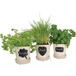 Esschert Design Flowerpots with Chalkboard Labels