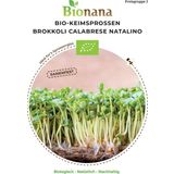 Semillas para Germinados de Brócoli Bio - Calabrese Natalino