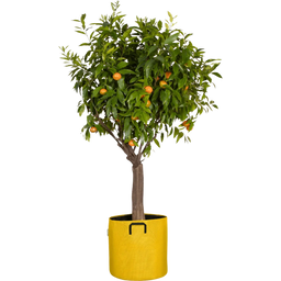 Bourgeon Plant Bag - Geotextile, ∅ 40 cm