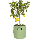 Bourgeon Pot de Plantation en Géotextile ∅ 30 cm - Vert