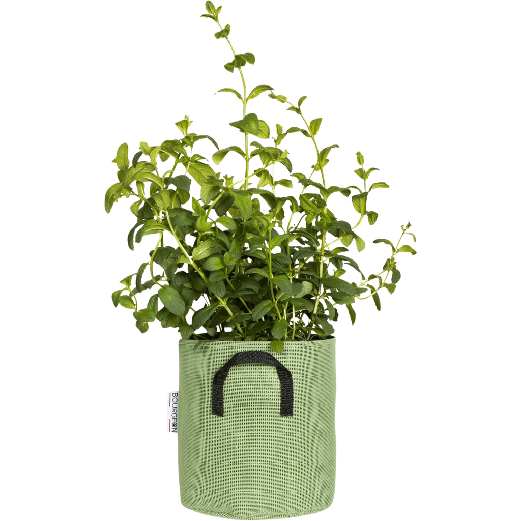 bourgeon-plant-bag-geotextile-20-cm-bloomling-international