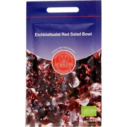 De Bolster Eichblattsalat "Red Salad Bowl