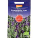 De Bolster Salvia Annuale Viola - 1 g