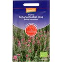 De Bolster Salvia Annuale Rosa - 1 g