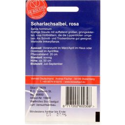 De Bolster Rosa Prachtsalbei - 1 g