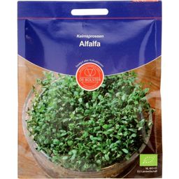 Keimsprossen "Alfalfa"