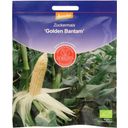 Kukurydza cukrowa „Golden Bantam” - 15 g