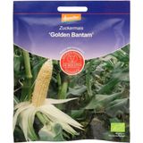 Kukurydza cukrowa „Golden Bantam”