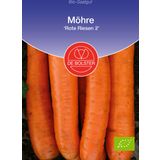 De Bolster Storage Carrot "Rote Riesen 2"