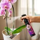 Lechuza Orchid Gloss Spray
