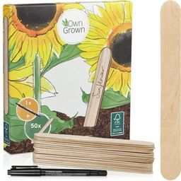 Lot de 50 Étiquettes à Plantes en Bois & Stylo - 1 kit